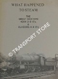 Book cover of What Happened to Steam by HANDS, Peter